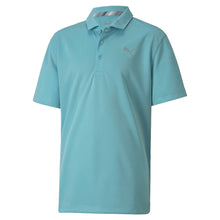 Load image into Gallery viewer, Puma Essential Boys Golf Polo - MILKY BLUE 13/XL
 - 5