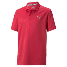 Load image into Gallery viewer, Puma Essential Boys Golf Polo - SKI PATROL 22/XL
 - 6