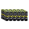 Dunlop Grand Prix Extra Duty Tennis Balls 24 Cans