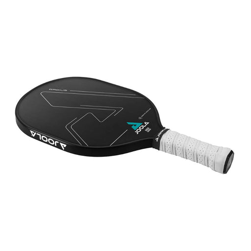 Joola Radius CGS 16 Pickleball Paddle