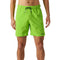 Spicy Green - 4